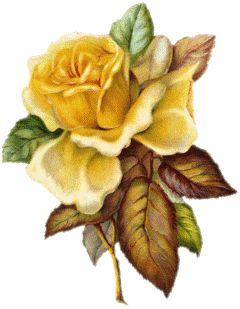 les fleures